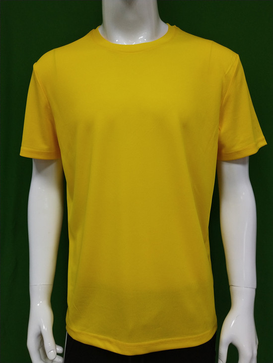 sell Dry Fit polyester  Plain T-shirts for sports